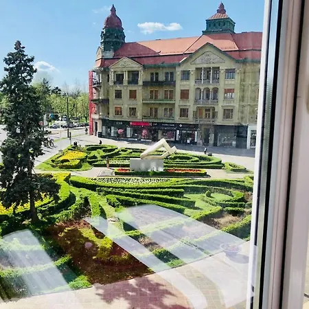 Joy Victoriei 7g-9 *