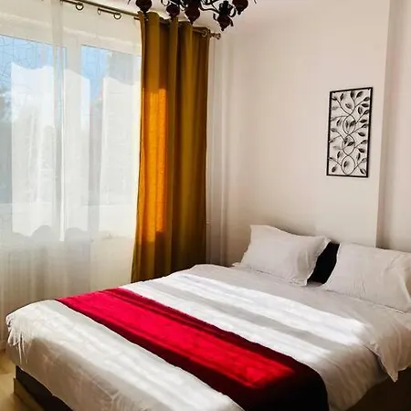 Joy Victoriei 7g-9 Timisoara