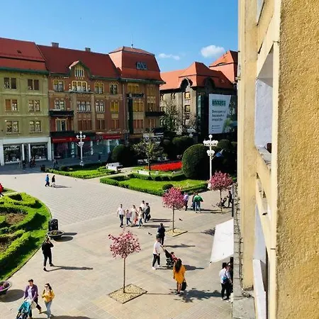 Joy Victoriei 7g-9 Apartment