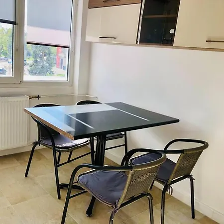 Joy City Victoriei 7g-9 Apartment Timisoara