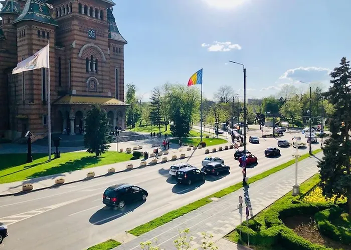 Joy Victoriei 7g-9 Timisoara