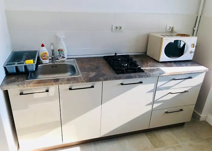 Apartment Joy Victoriei 7g-9