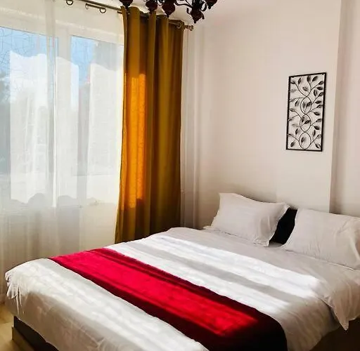 Joy Victoriei 7g-9 Timisoara