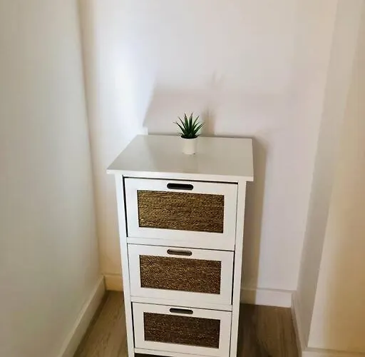 Joy Victoriei 7g-9 * Timisoara