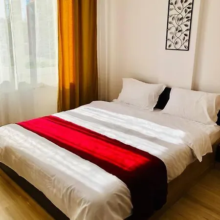 Joy Victoriei 7g-9 *