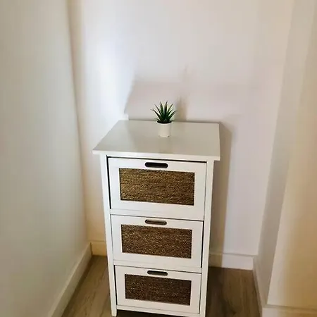 Joy Victoriei 7g-9 * Temeşvar