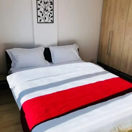 Joy Victoriei 7g-9 Temeşvar